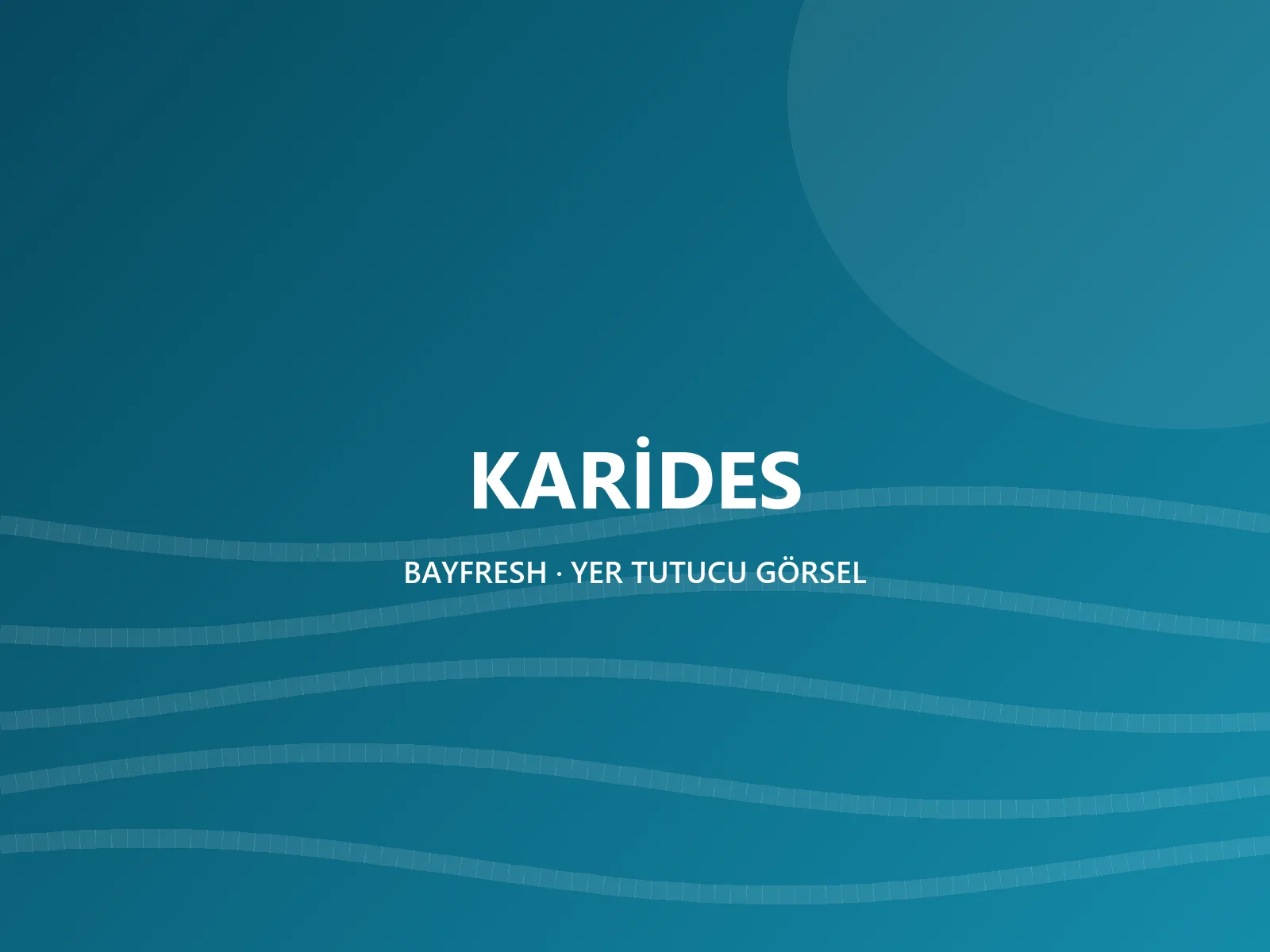 KARİDES