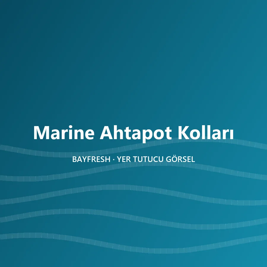 Marine Ahtapot Kolları