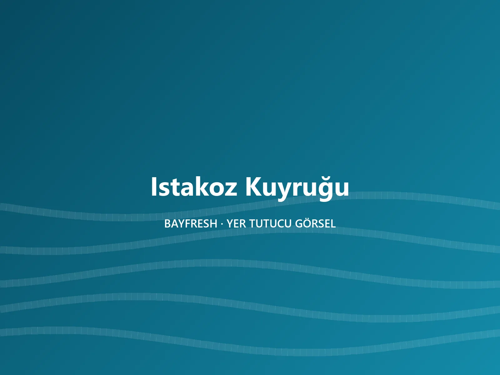 Istakoz Kuyruğu