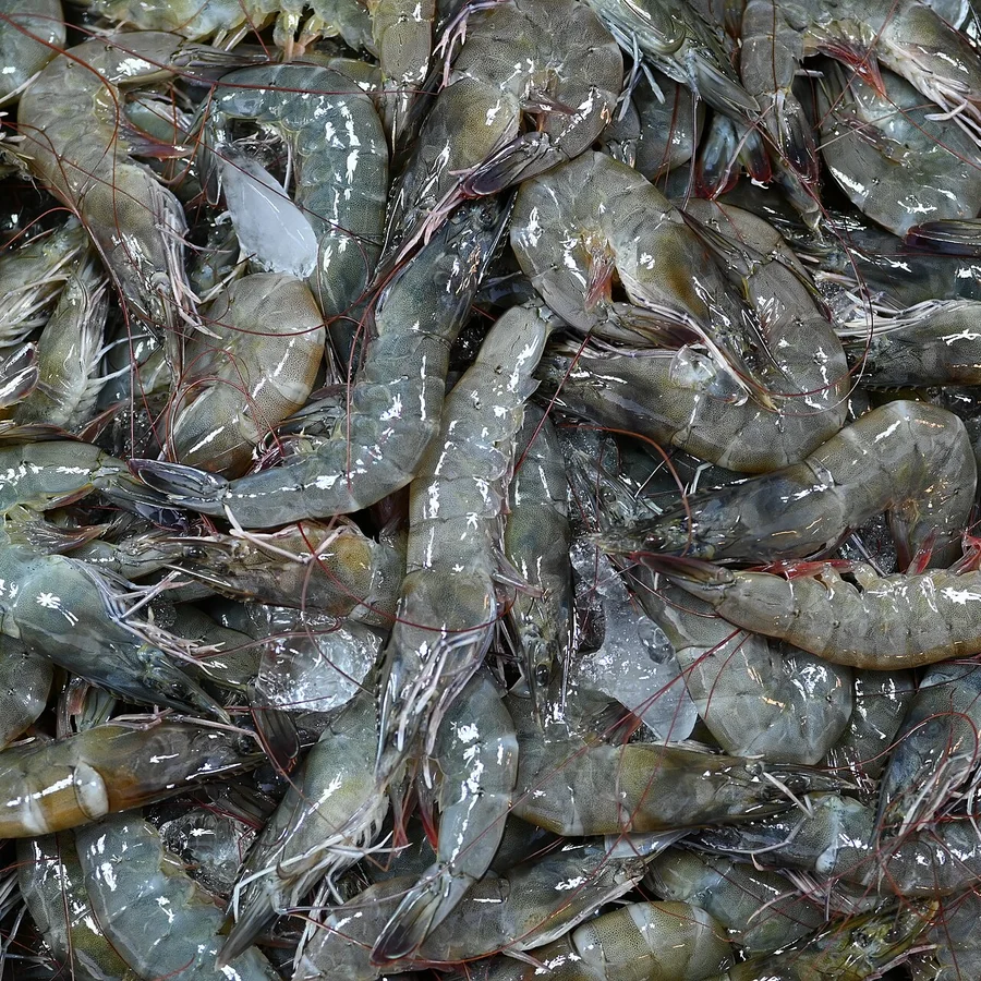 Kabuklu Karides - İthal - Kafasız